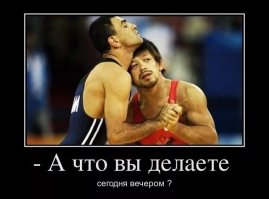 В Китае два упитанных сурка устроили показательный бой прямо на шоссе