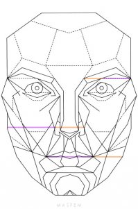 Очень примитивная сетка, под неё можно любую рожу подставить. А вот примерно какая должно быть на самом деле: