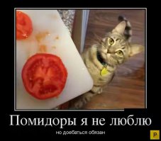 Свежая подборка демотиваторов, которые поднимут вам настроение