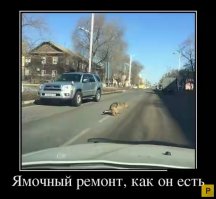 Подборка автомобильных приколов