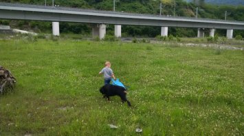 25 доказательств того, что хаски - лучшая порода собак!