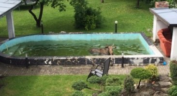 То ли дело у нас в столице! =)