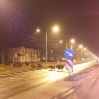 То ли дело у нас в столице! =)