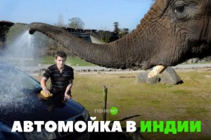 на фото истинный индус.