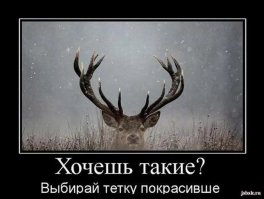Есть рога? Пускайте их в дело!