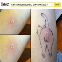 Чё за комар такой????