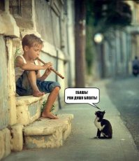 Как я женщине помог мужа спасти