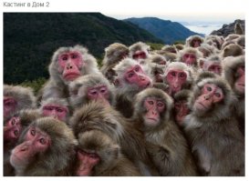 Прикольная подборка