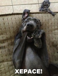 Этот пост поймут те, чьи права хотя бы раз в жизни ущемляли