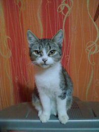 Моя. Подкидыш. :)