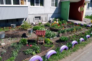 Зачем? У меня во дворе, кроме отдельных ручных захваченных газонов, растет газонная трава, которую регулярно стригут.
И я сказала (от злости не видим что читаем?), что на данном фото хорошо, что что нет покрышек, в отличие от моих соседей! Ну не нравится мне самодеятельность из покрышек, бутылок и палочек (как у меня рядом с домом). На мой вкус это дно эстетики и так по-нищебродски.