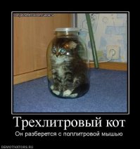 Коктейль из кедика и другие дикие причуды барменов