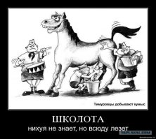 Самолет с красноярской лайкой умилил китайцев