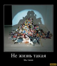 Как не оставить мусор в лесу