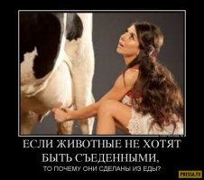 Я и собаками не дружил и не дружу, не моя вина, что они сделаны из еды.