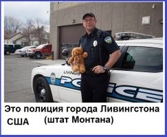 Просто фото, просто жизнь