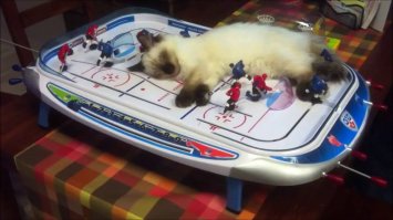 Кто-нибудь, принесити лампу, бл&