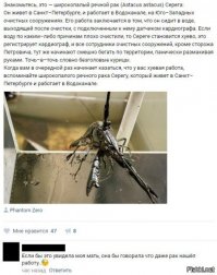 Смешные комментарии и высказывания из социальных сетей