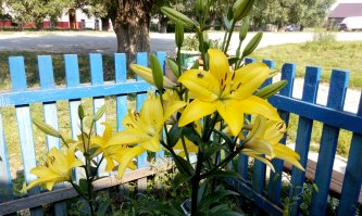 А у нас вот так.