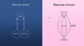 Столкновение с фундаментальной женской логикой, против которой нет оружия