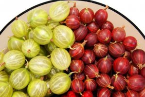 Не забудь смотреть на крыжовник !:)
Послевкусие точно будет , крыжовниковое !;)
Главное не усердствовать !
