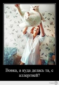 Баяны нашего сайта 