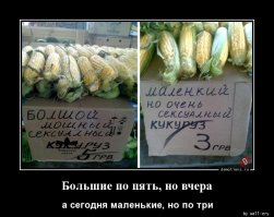 Свежая подборка демотиваторов, которые поднимут вам настроение