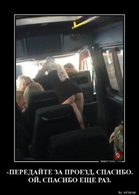 Свежая подборка демотиваторов, которые поднимут вам настроение