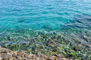 Зато у них есть то, чего больше нигде в мире нет...:)