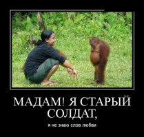 Свежая подборка демотиваторов, которые поднимут вам настроение