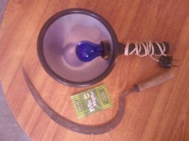 Теперь ты видел всё