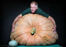 Фотоподборка за 31.07.2017