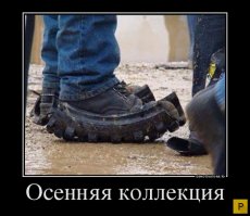 а вот и осенняя коллекция от Чубайса встречайте, заказывайте.