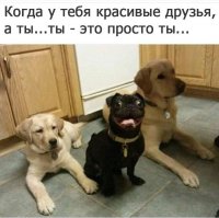 Вот это точно про меня.