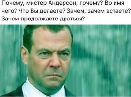 Смешные картинки с надписями