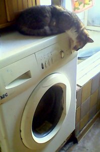 Тестирование стиралки.