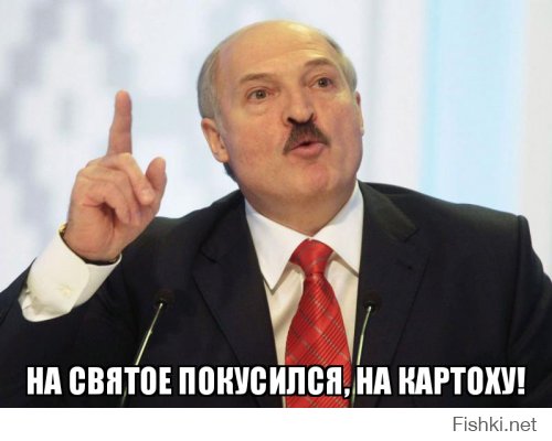 Задержал самогонщика, спас поле картохи. В Республике Беларусь задержали лесника-самогонщика