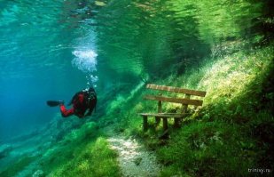 рыбка Поньо