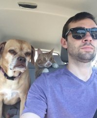 Подборка автомобильных приколов