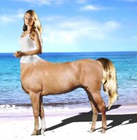 По словам молодой матери, она не успела заменить права из-за беременности, хотя и признает, что это нарушение ПДД. 

Каким образом этой очередной кентаврихе- АвтоЛяди беременность помешала получить новые права, а ездить не помешала? 
И вообще, где на трассе вы видели автодело, правильный ответ на обочине и сосущими в кабине дальнобойная, а за рулём есть только ВОДИТЕЛИ, согласно ПДД.
Вот вам конеЛЕДИ, а АВТОледи фотошопте сами.