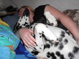 "Я проснулся и не поверил своим глазам!". часть I