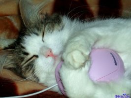 Работа и личное. Смешать, но не взбалтывать