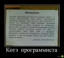 Этот народ непобедим  или умом Россию не понять!
