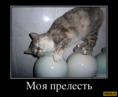 Работа и личное. Смешать, но не взбалтывать