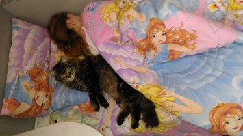 "Я проснулся и не поверил своим глазам!". часть I