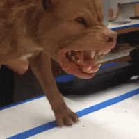 Ага, руку по локоть в задницу запихнуть - и не такая сотонинская улыбка получиться