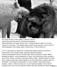 Прикольная подборка