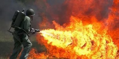 Комары на рыбалке