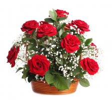 ...молодцы девчонки...