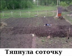 Как обустроить дачу тем, у кого чешутся руки!